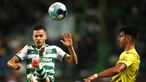 Sporting đang muốn giành chiến thắng ở Guimarães để gây sức ép lên đội đầu bảng FC Porto