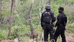 Tìm thấy 4 thi thể trong rừng ở Mozambique
