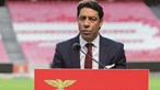 Vấn đề Benfica SAD thành công cho thấy 'niềm tin' của giới đầu tư, Rui Costa nhấn mạnh