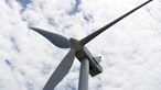 Nhà Trắng tham gia cùng các tiểu bang, hiệp hội và công ty trong việc thúc đẩy năng lượng gió