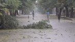 Hội Chữ thập đỏ Trung Quốc quyên góp 46.000 euro hỗ trợ nạn nhân lốc xoáy ở Mozambique