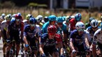 Trộm cắp xe đạp khiến các đội không thể kết thúc Tour Slovenia và Tour Bỉ