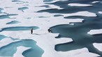 Bắc Băng Dương có thể không có băng vào mùa hè từ năm 2030