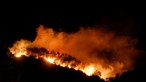 Hỏa hoạn tàn phá miền nam châu Âu, buộc người dân và khách du lịch phải sơ tán